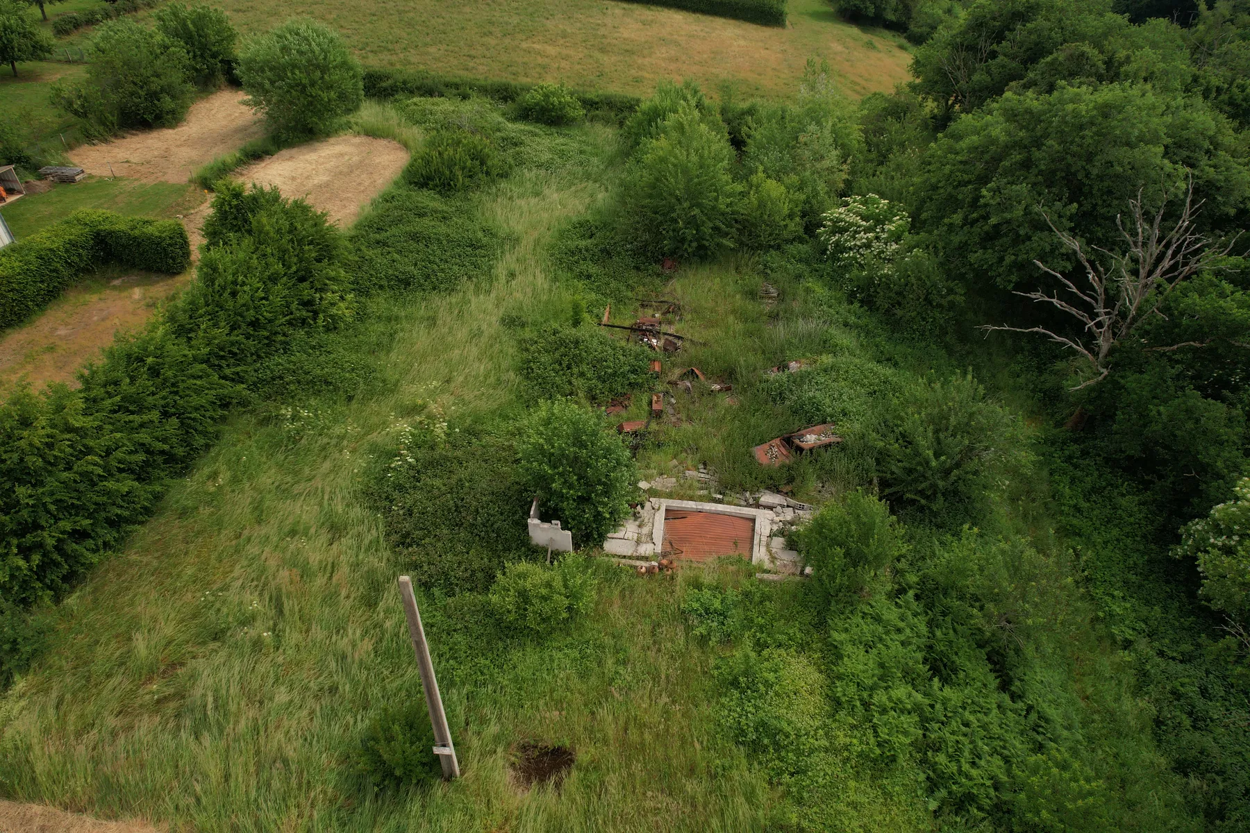 Terrain réel · parcelle et végétation